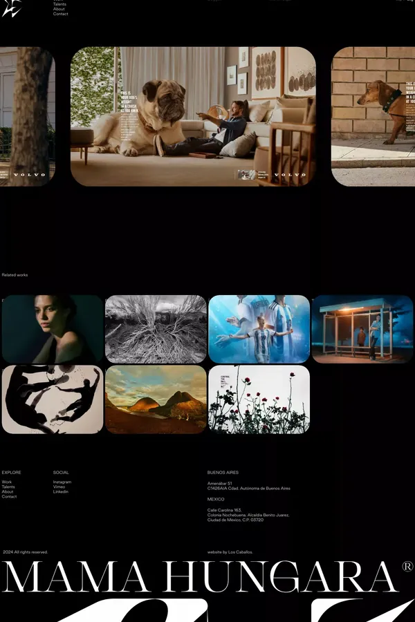 415 Unsupported Media Type - Portfolio design inspiration