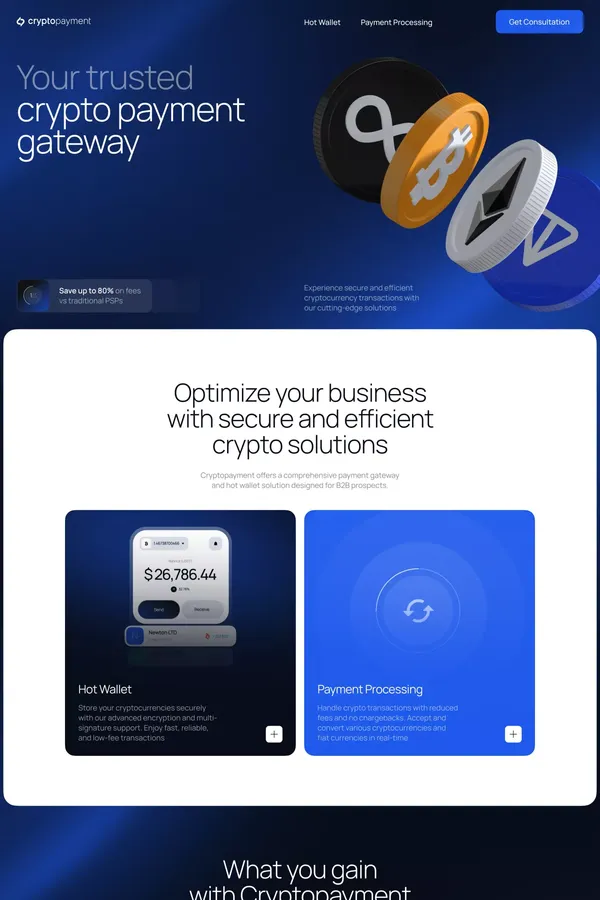 Crypto Payment Processor & Solutions: Accept Crypto Payments - Landing design inspiration