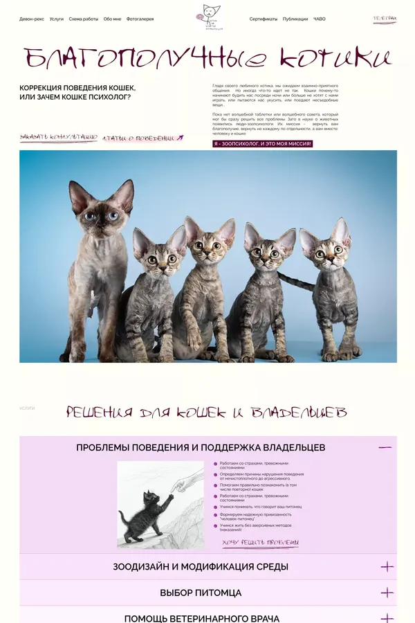 Syzrantseva Natalia- Expert UX/UI Designer | Mobile App Design & User Research | Portfolio