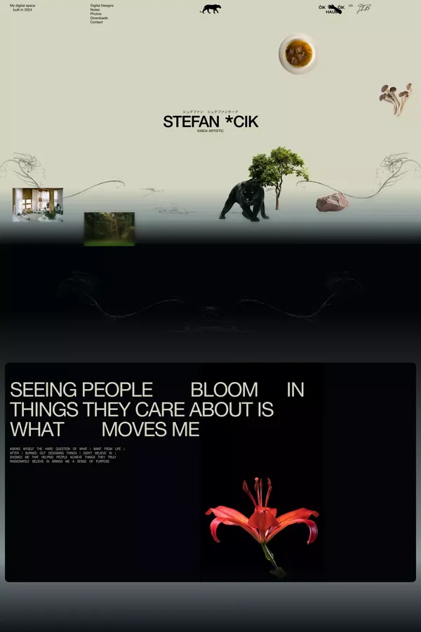 Stefan Stefancik - Designer - Portfolio design inspiration