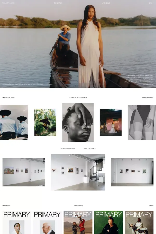 PRIMARY PAPER - Portfolio design inspiration