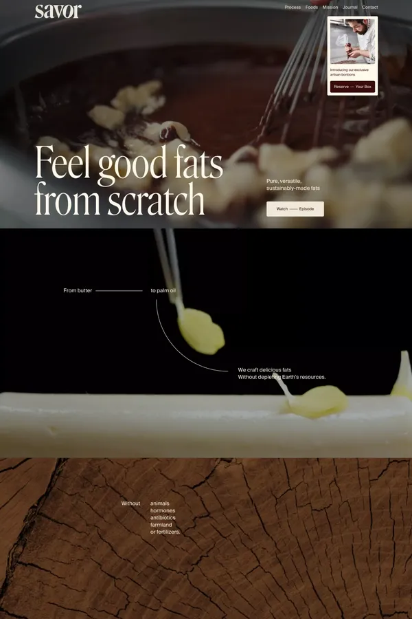 Savor - Landing design inspiration