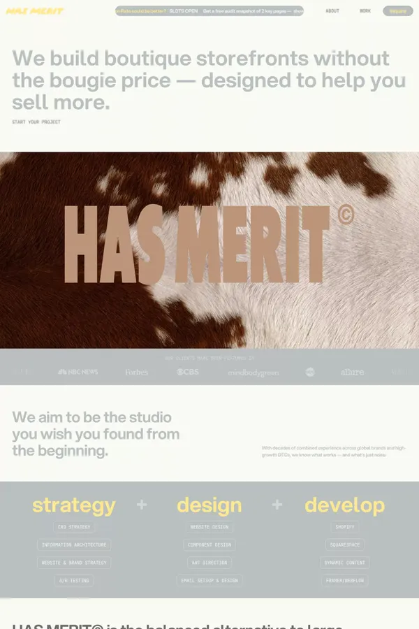 Has Merit Studio: Shopify Strategy, Design & Web - Portfolio design inspiration
