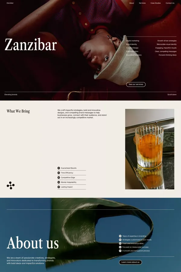 Zanzibar - Agancy and Portfolio Premium Framer Template - Template design inspiration