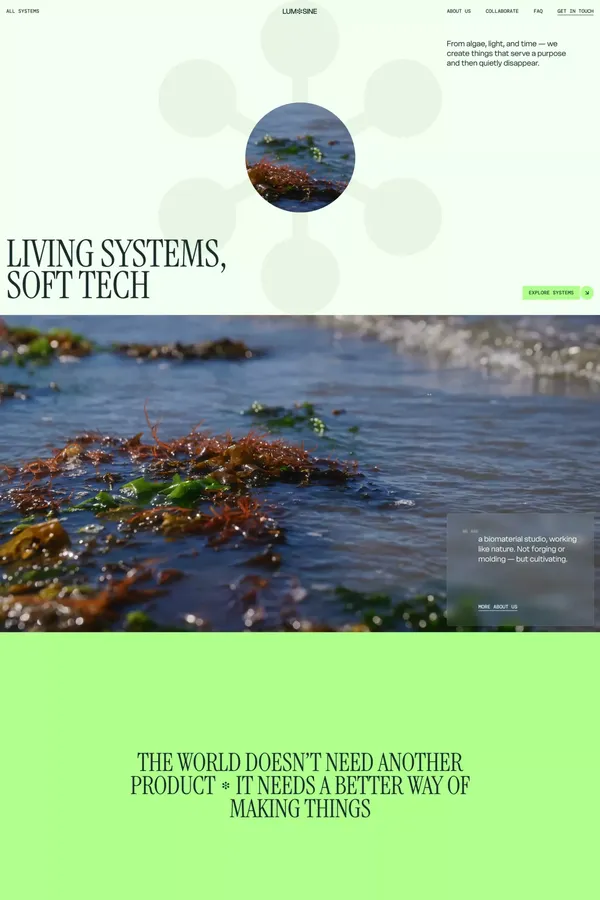Lumosine - Living systems, soft tech