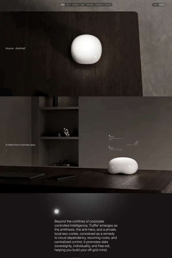 Meet Truffle — Your Private Exo-cortex  |  Truffle - Landing design inspiration
