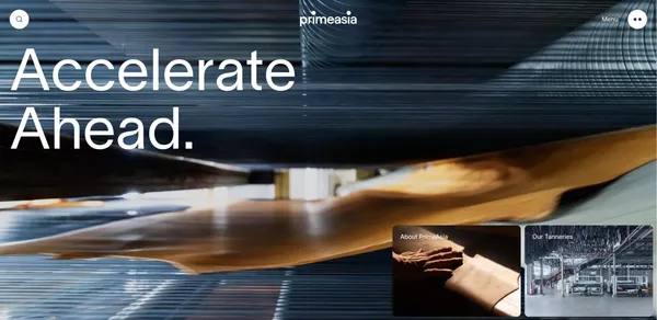 PrimeAsia - Landing design inspiration
