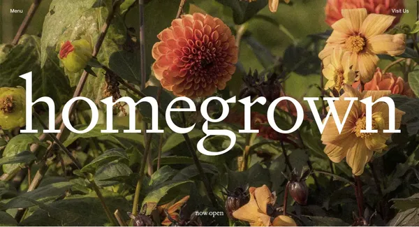Homegrown - Landing design inspiration
