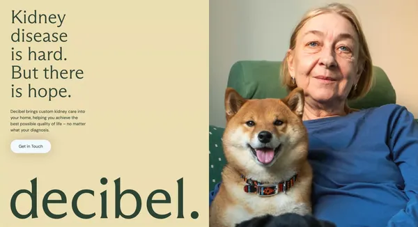 Decibel Health – Kidney Lifestyle Platform - Landing design inspiration