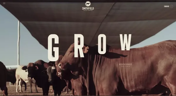 Smithfield Cattle Co. - Landing design inspiration
