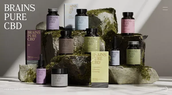 Brains Pure CBD - Landing design inspiration