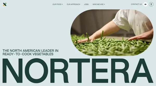 Leader dans la transformation et la vente de légumes - Landing design inspiration