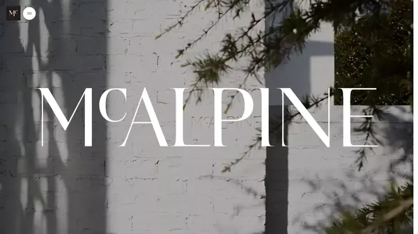 McALPINE - Portfolio design inspiration
