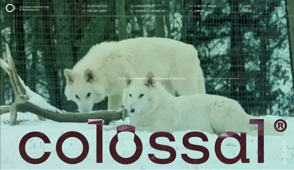 Solving the Colossal Problem of Extinction | Colossal - Landing design inspiration