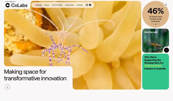 Colabs - Making space for transformative innovation. - Landing design inspiration