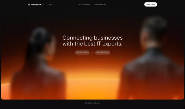 Top IT Freelancers for Businesses – Odinaut - Landing design inspiration
