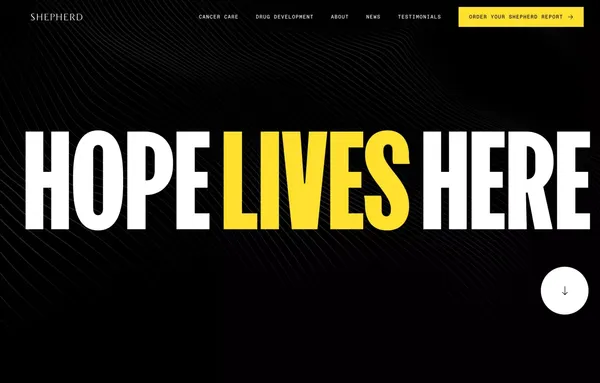 Shepherd — Hope Lives Here - Landing design inspiration