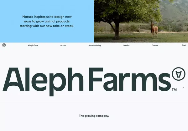 Sustainable, Cultivated Meat. Steak Done Right. | Aleph Farms - Landing design inspiration