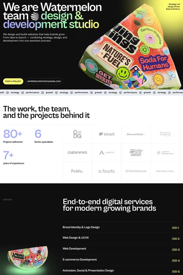 Watermelon Team - your new creative partners - Portfolio design inspiration
