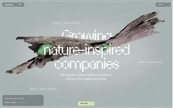 Anima - Growing nature-inspired ventures - Landing design inspiration