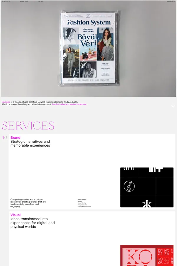 SÖMESTR - Portfolio design inspiration