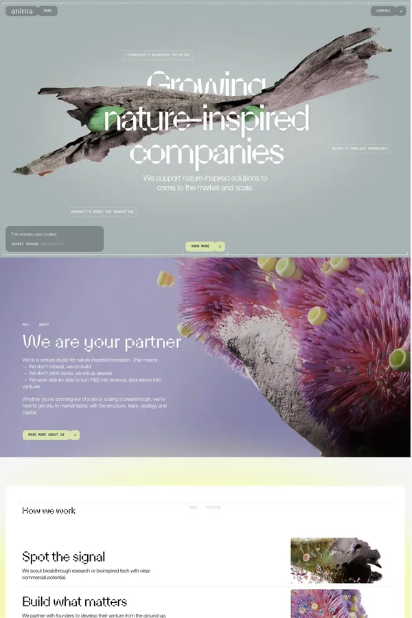 Anima - Growing nature-inspired ventures - Landing design inspiration