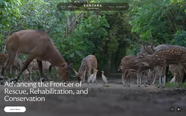 Global Wildlife Rescue and Conservation Centre in Jamnagar | Vantara - Landing design inspiration