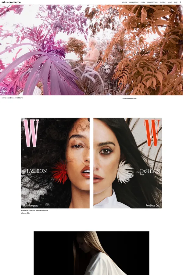 Art + Commerce - Portfolio design inspiration