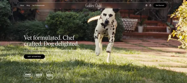 Fresh, Veterinarian-Formulated Dog Food Delivered | Golden Child - Landing design inspiration