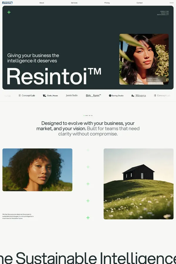 Resintoi - Webflow HTML website template - Template design inspiration