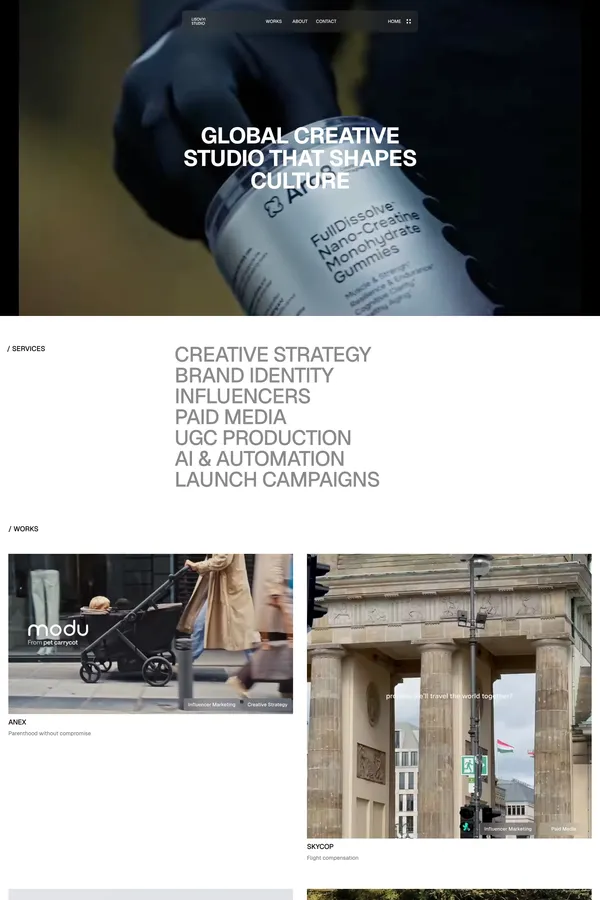 Lisovyi Studio | Creative Studio - Portfolio design inspiration