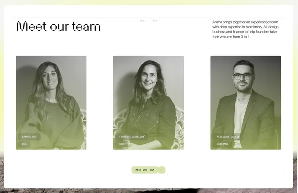 Anima - Growing nature-inspired ventures - Landing design inspiration