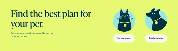 Rated Best Pet Insurance Plans | Figo Pet Insurance - Landing design inspiration