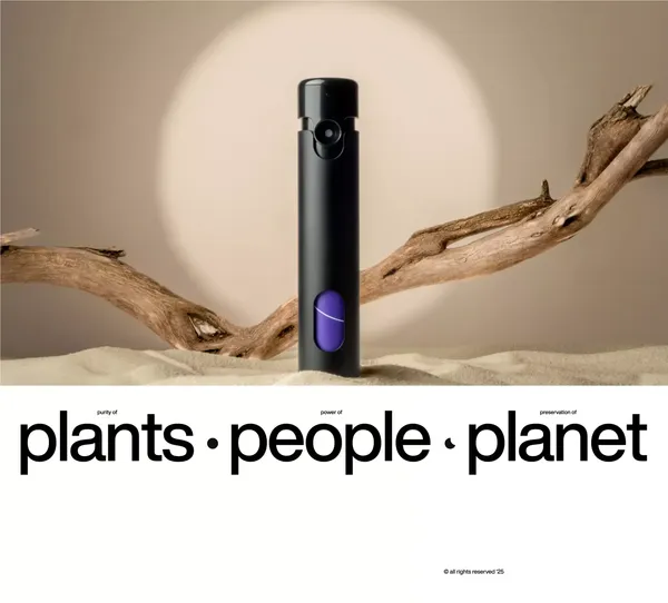 Sofi - Landing design inspiration