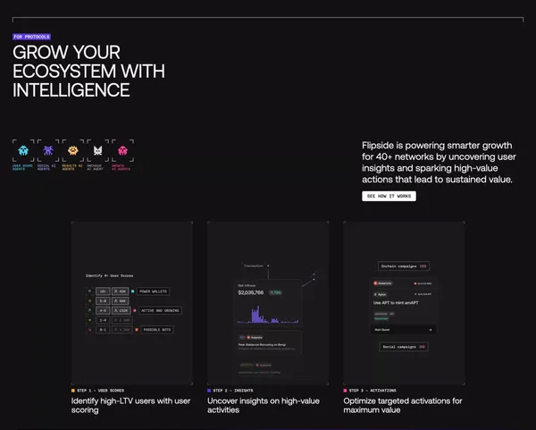 Flipside | The Platform for Intelligent Blockchain Growth - Landing design inspiration