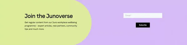 Juno | Empowering teams with flexible benefits - Landing design inspiration