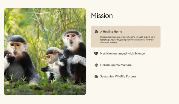 Global Wildlife Rescue and Conservation Centre in Jamnagar | Vantara - Landing design inspiration
