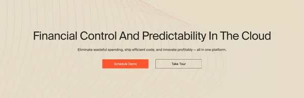 CloudZero: The Cloud Cost Intelligence Platform - Landing design inspiration