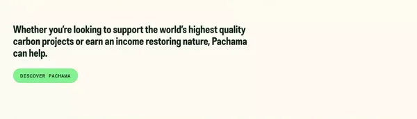 Pachama | Restore nature. Remove carbon. - Landing design inspiration