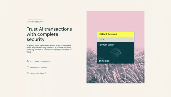 Payman - Landing design inspiration