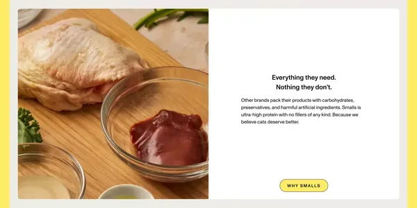 Fresh Human-Grade Cat Food Delivery | Smalls - Landing design inspiration