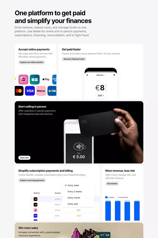 Mollie - Effortless Payments and Money Management - Landing design inspiration