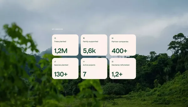 Sustainable and environmental projects for Corporations and Privates | zeroCO2 - Landing design inspiration