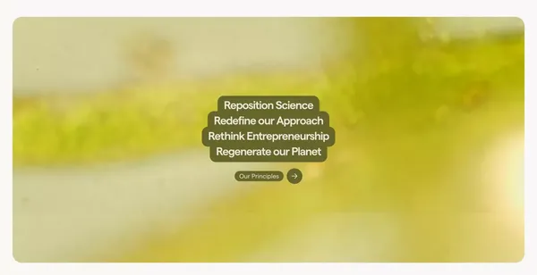 Colabs - Making space for transformative innovation. - Landing design inspiration