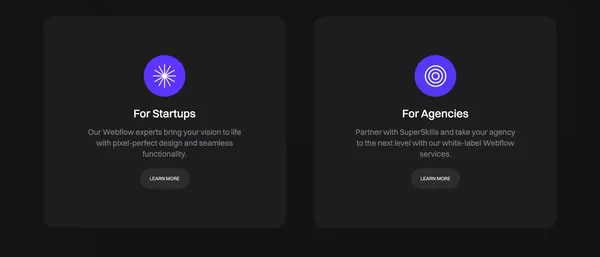 SuperSkills | Expert Webflow Development and Site Maintenance - Portfolio design inspiration