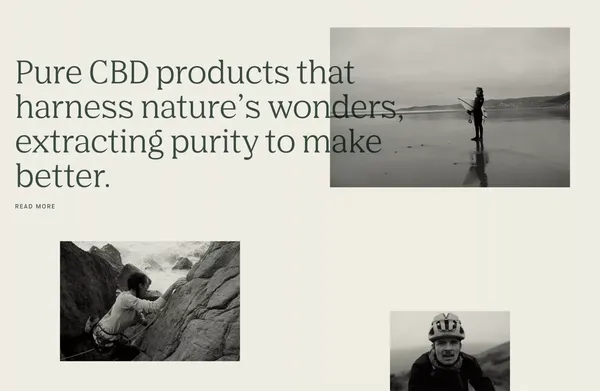 Brains Pure CBD - Landing design inspiration