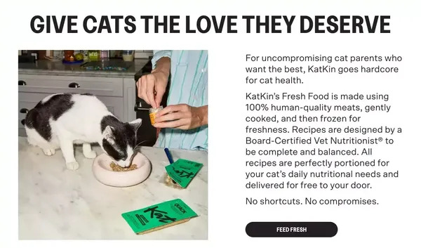 KatKin: Fresh Cat Food. Love Hard. Feed Fresh. - Landing design inspiration