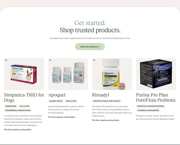 Koala Health - Landing design inspiration