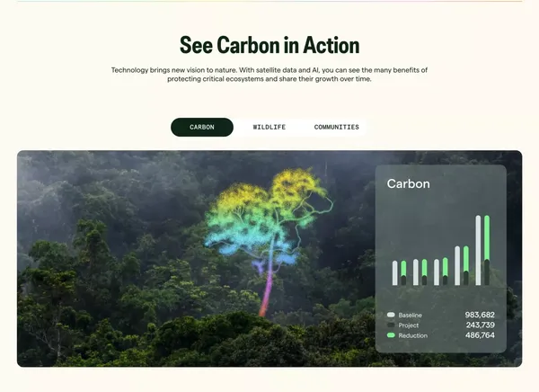 Pachama | Restore nature. Remove carbon. - Landing design inspiration