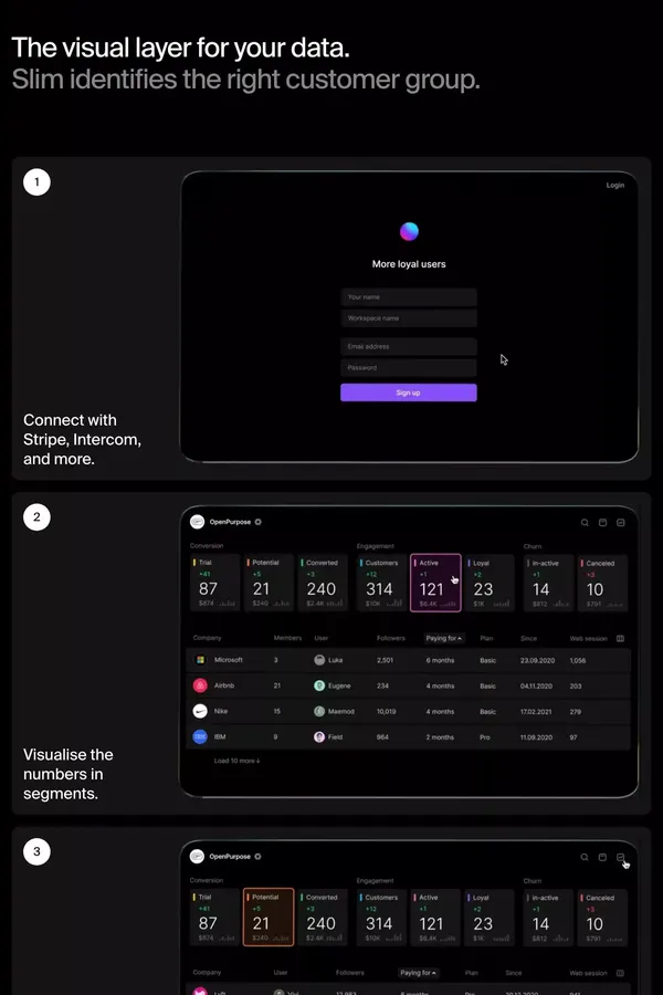 Slim — Real customer insights - Landing design inspiration